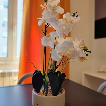 Casa Marconi Rome